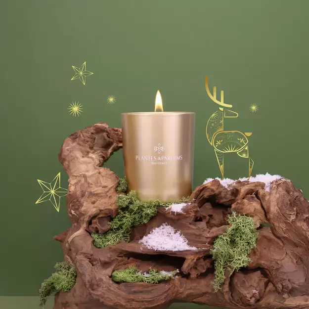 PLANTES&PARFUMS Augalinio vaško žvakė „Sapin Givré“ 180g 1