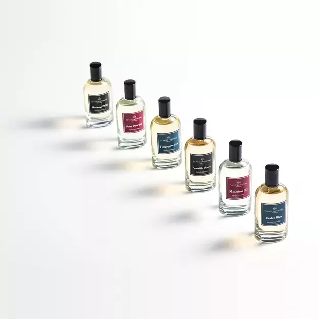 PLANTES&PARFUMS Purškiamas namų kvapas „Cèdre Bleu“ 100 ml 2