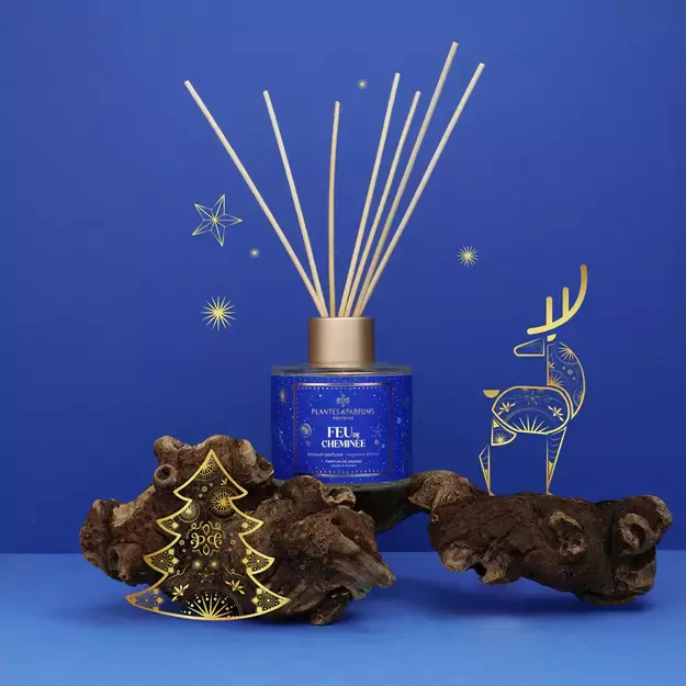 PLANTES&PARFUMS Namų kvapas su lazdelėmis „Feu de Cheminée“ 100 ml 1