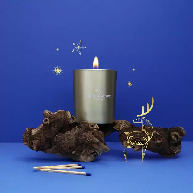 PLANTES&PARFUMS Augalinio vaško žvakė „Feu de Cheminée“ 180g 2