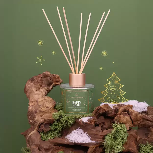 PLANTES&PARFUMS Namų kvapas su lazdelėmis „Sapin Givré“ 100ml 1