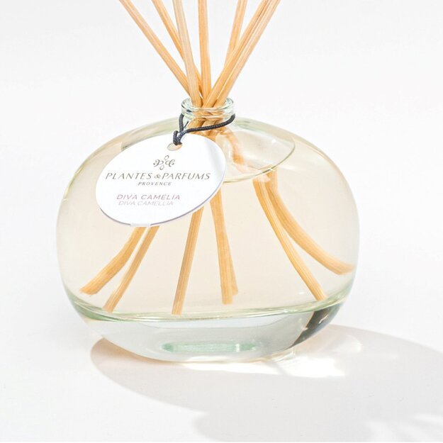  PLANTES&PARFUMS Namų kvapas su lazdelėmis "Récolte de la Lavande", 100 ml